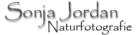 Sonja_logo
